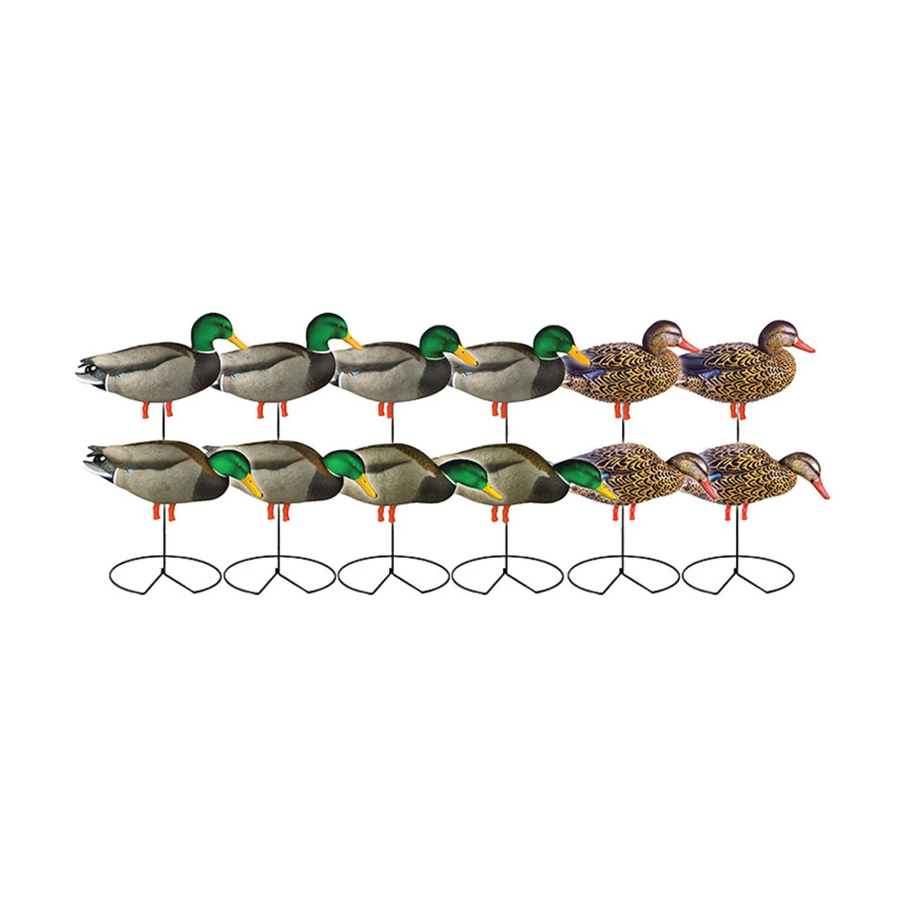 AVERY Pro-Grade Full Body Mallard Duck Decoys With Flocked Heads, 12-Pack (72217)