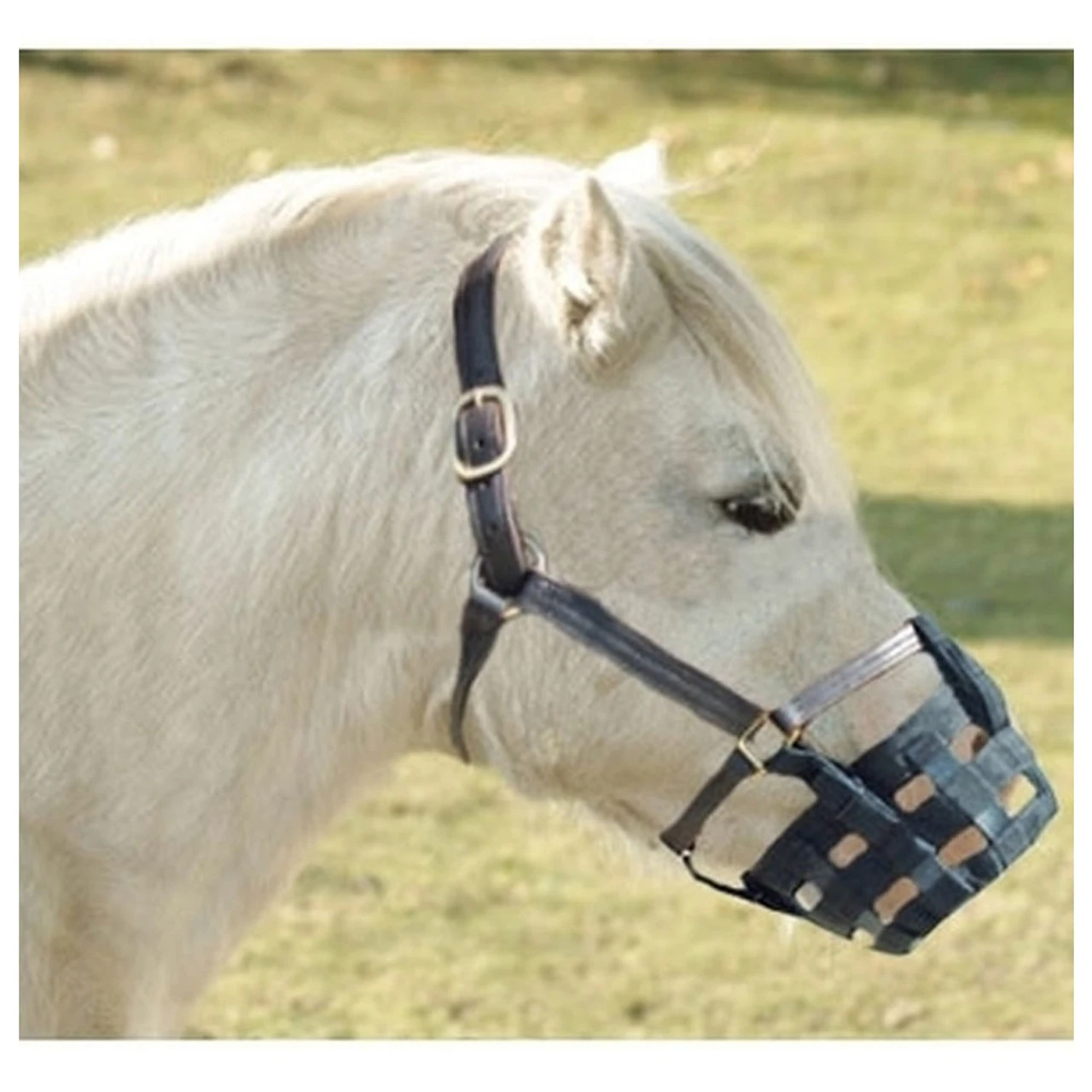 INTREPID INTERNATIONAL Best Friend Standard Grazing Muzzle - Image 5