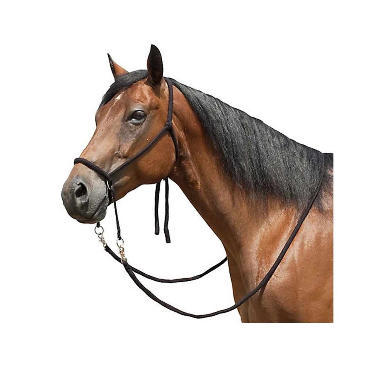 MUSTANG Nylon Bitless Bridle With Reins - Image 3