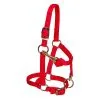 WEAVER LEATHER Miniature Horse Adjustable Chin And Throat Snap Red Halter