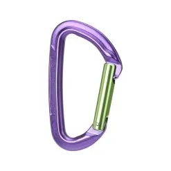 WILD COUNTRY Session Straight Gate Purple/Green UNI Carabiner (40-0000000005-UNI)