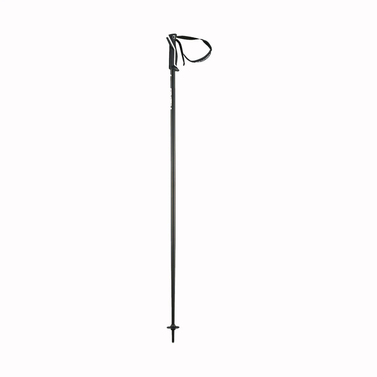 HEAD Unisex Frontside Poles