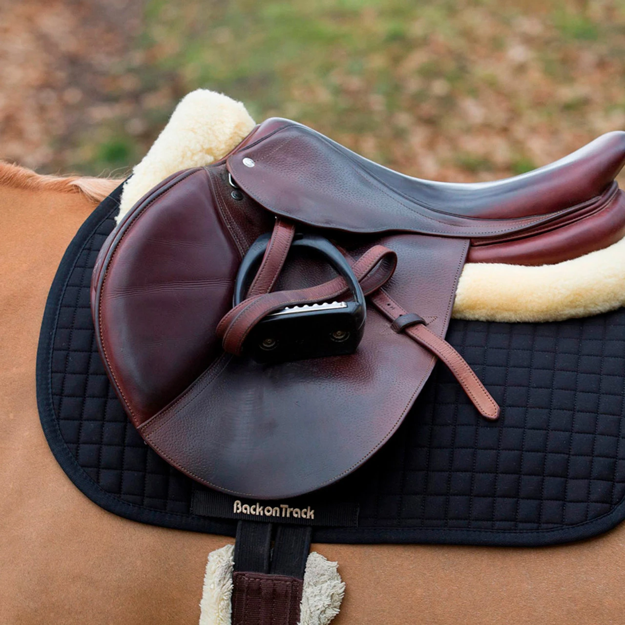 BACK ON TRACK All Purpose No1 Saddle Pad - Image 2