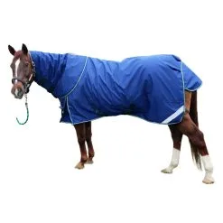 INTREPID INTERNATIONAL Pro-Trainer Navy Turnout Blanket With Detachable Neck Cover (TO68BL1)