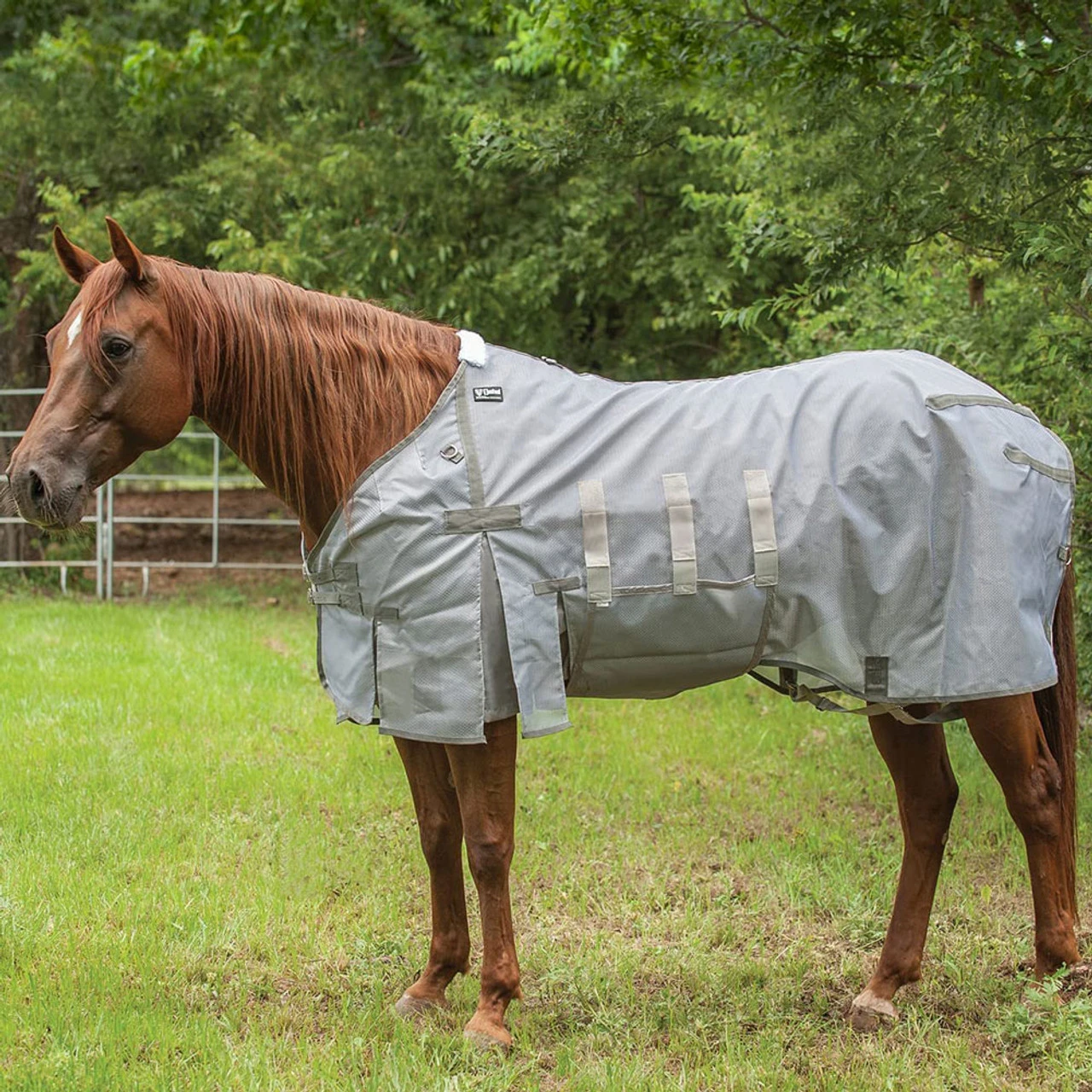 Cashel Company CASHEL Lightweight Fly Sheet
