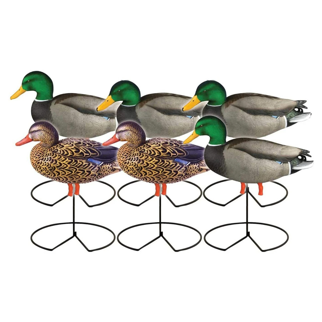 AVERY Pro-Grade Full Body Mallard Duck Decoys With Flocked Heads, 12-Pack (72217) - Image 2