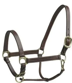 CAMELOT Stable Halter Cob (464283BRN-COB)
