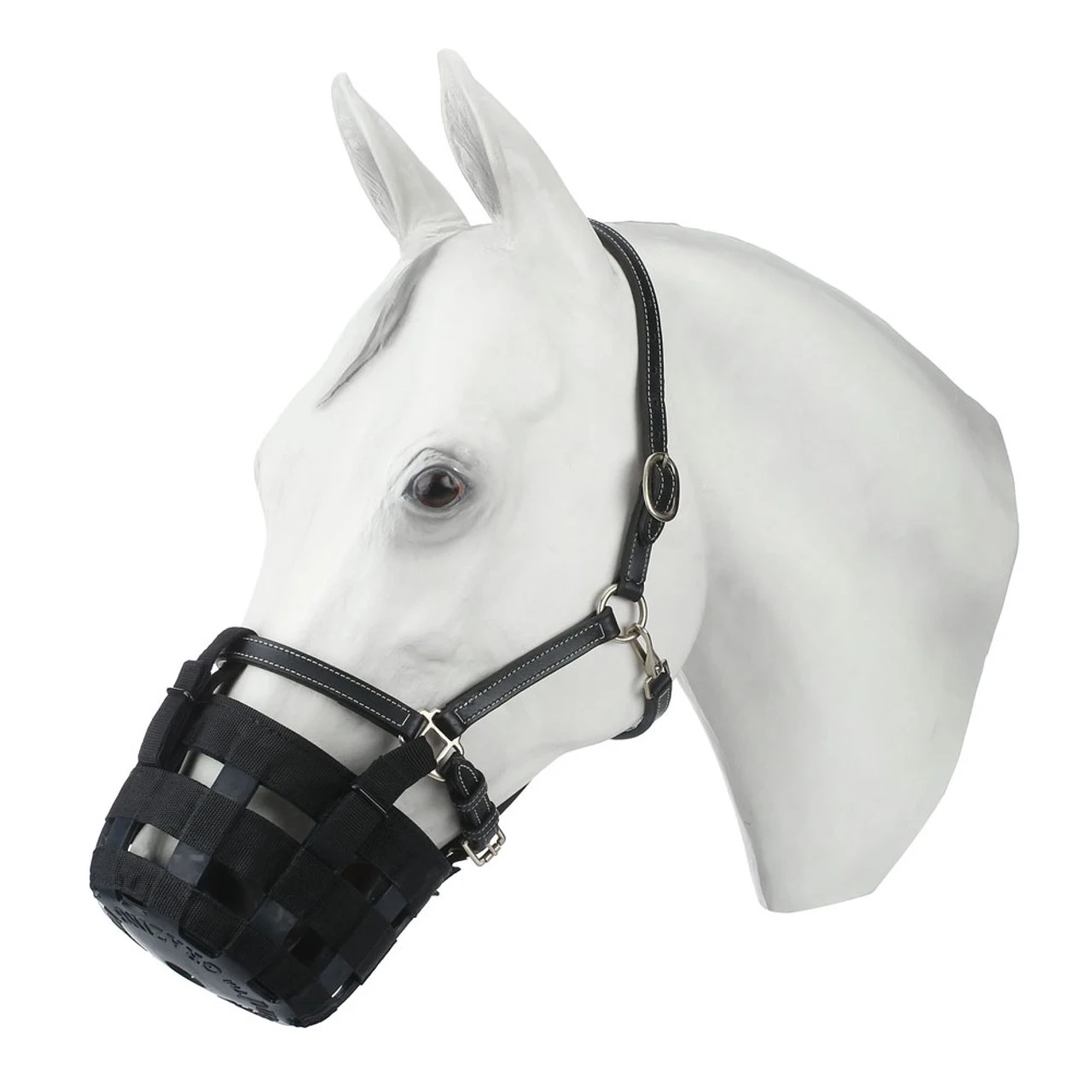 INTREPID INTERNATIONAL Best Friend Standard Grazing Muzzle - Image 2