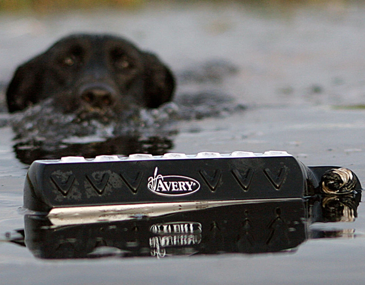 AVERY 2in HexaBumper - Image 5