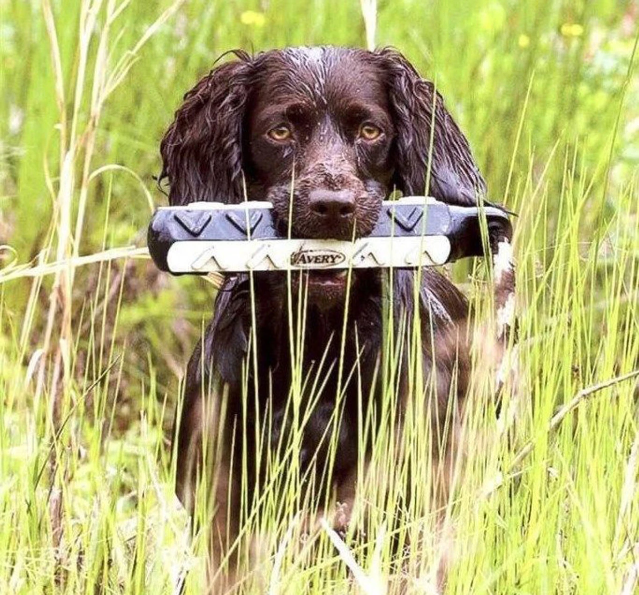 AVERY 2in HexaBumper - Image 4