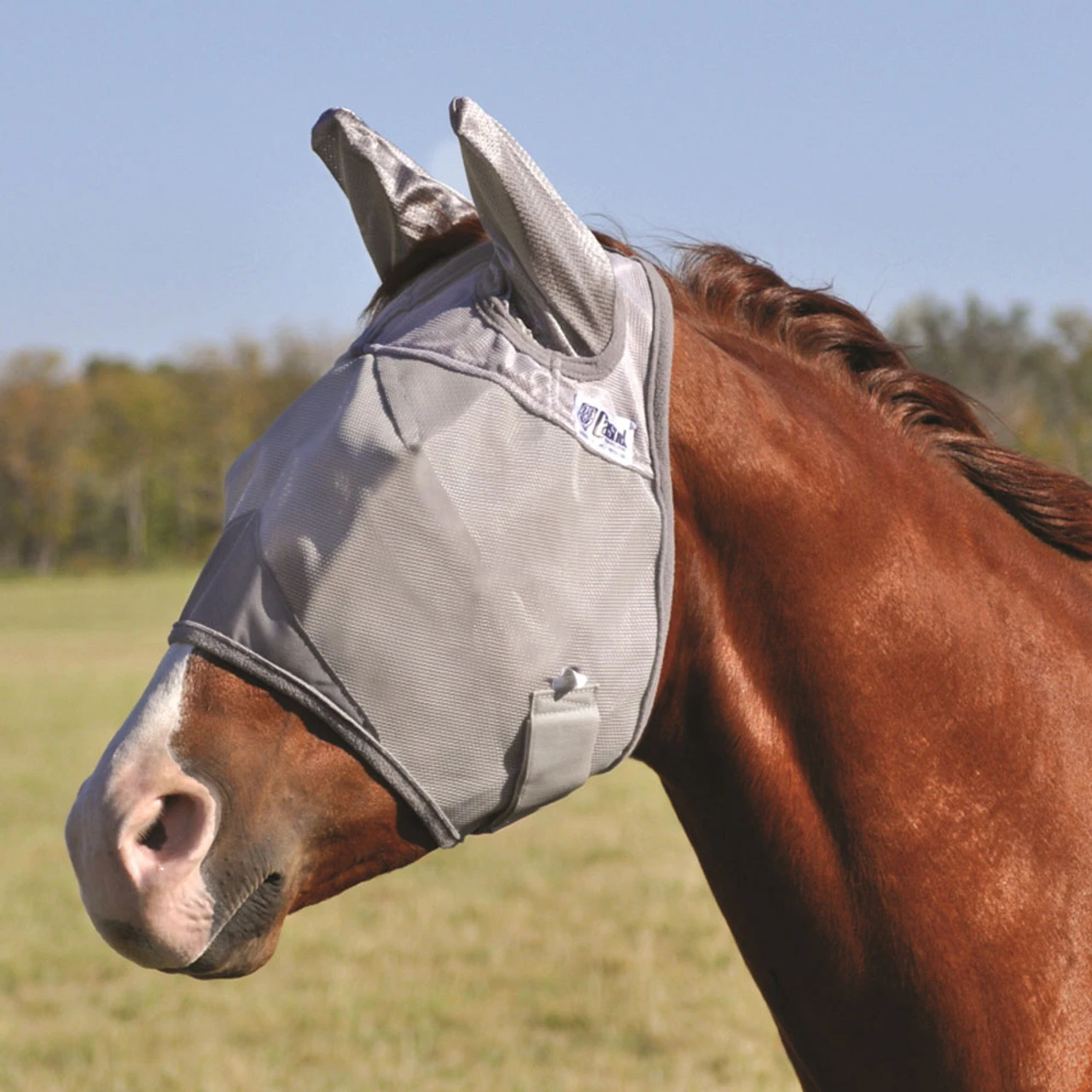 Cashel Company CASHEL Crusader Standard Mule Fly Mask With Ears (CFMMASE) - Image 6