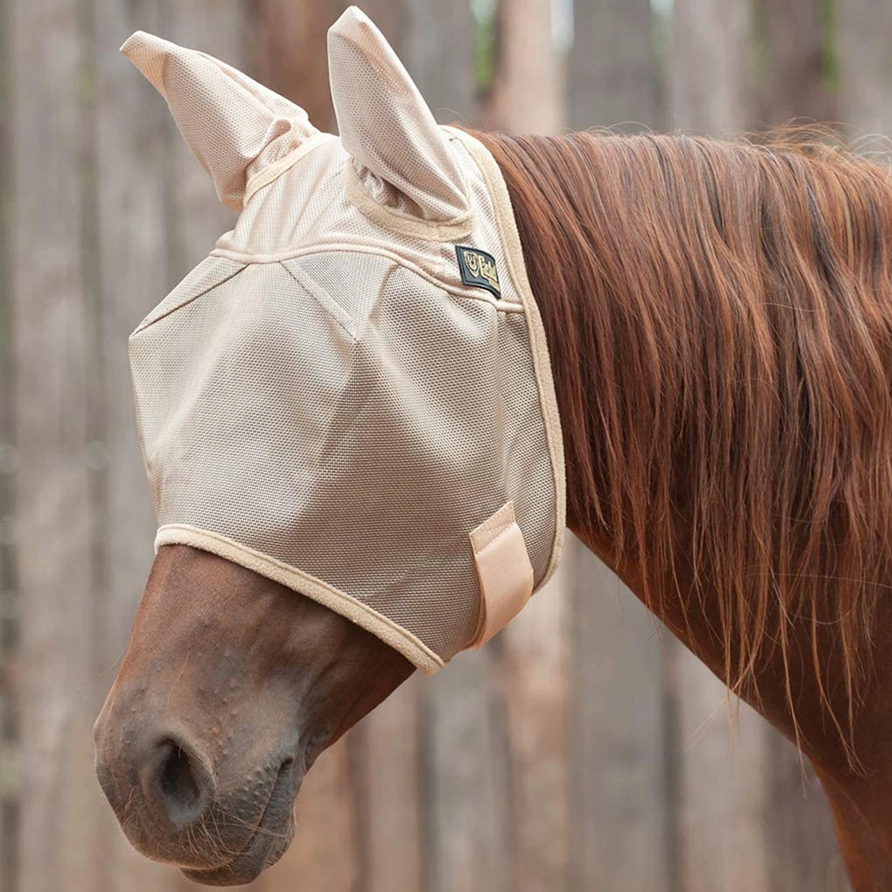 Cashel Company CASHEL Econo Arab/Small Horse Fly Mask With Ears (EFMASE) - Image 2