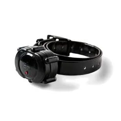 DT SYSTEMS IDT Plus Add-On Or Replacement Collar Receiver