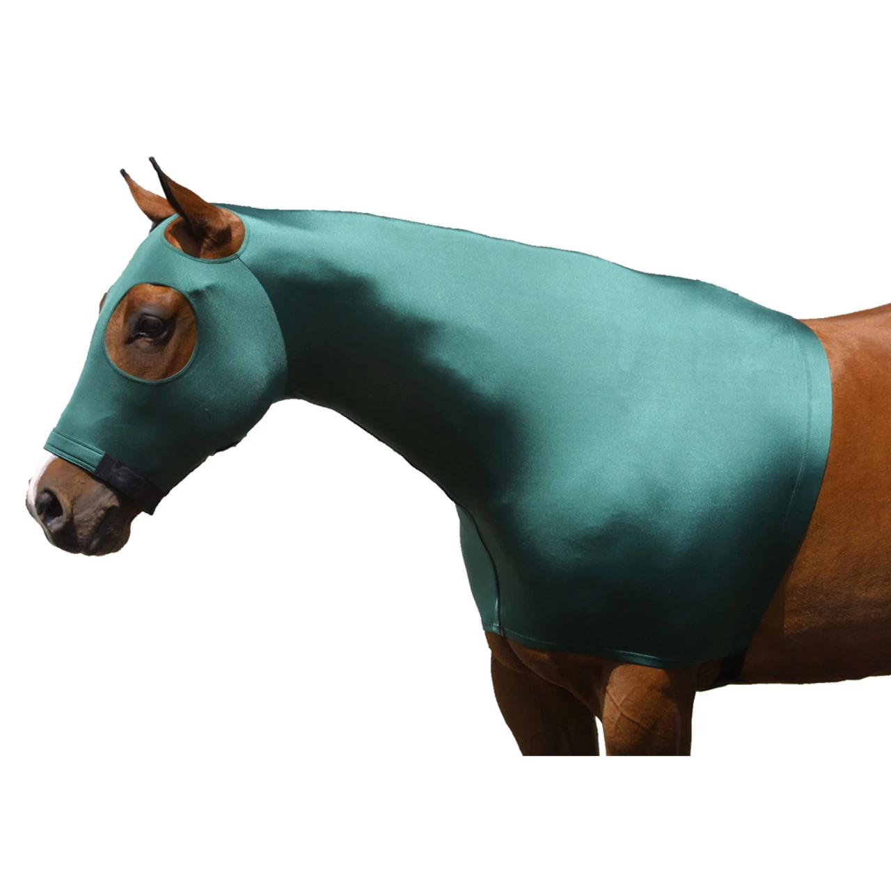 SLEAZY SLEEPWEAR Hood With Zip - Image 5