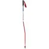 SWIX Wc Pro Sg Carbon Poles