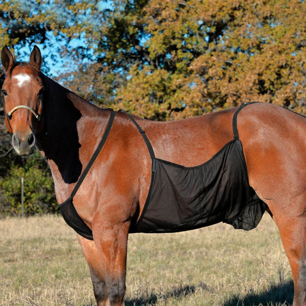 Cashel Company CASHEL Fly Sheet Belly Guard (FS-BG)