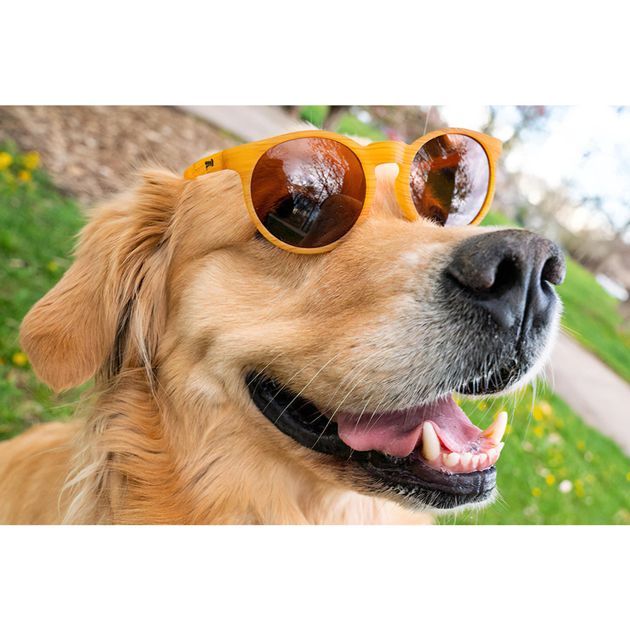 GOODR Circle Gs Bodhi's Ultimate Ride Sunglasses (CG-GD-BR1-NR) - Image 4