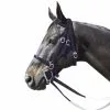 INTREPID INTERNATIONAL Racing Bridle